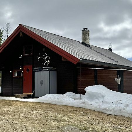 Koselig Hytte Med Usjenert Og Solrik Beliggenhet Geilo Exterior photo